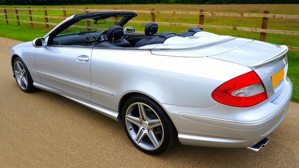 How can UK pet owners promote mental stimulation for their pets?