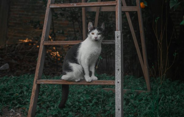 Transforming UK Urban Travel: The Sustainable Shift to Electric Scooters